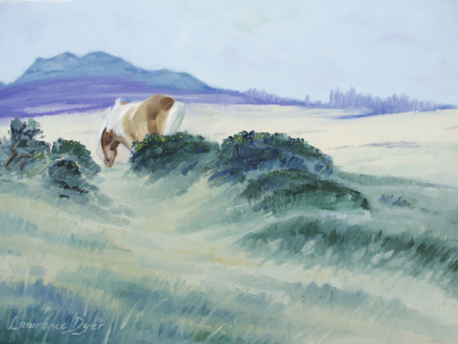Pony With Dartmoor Tor by
                                      Lawrence Dyer